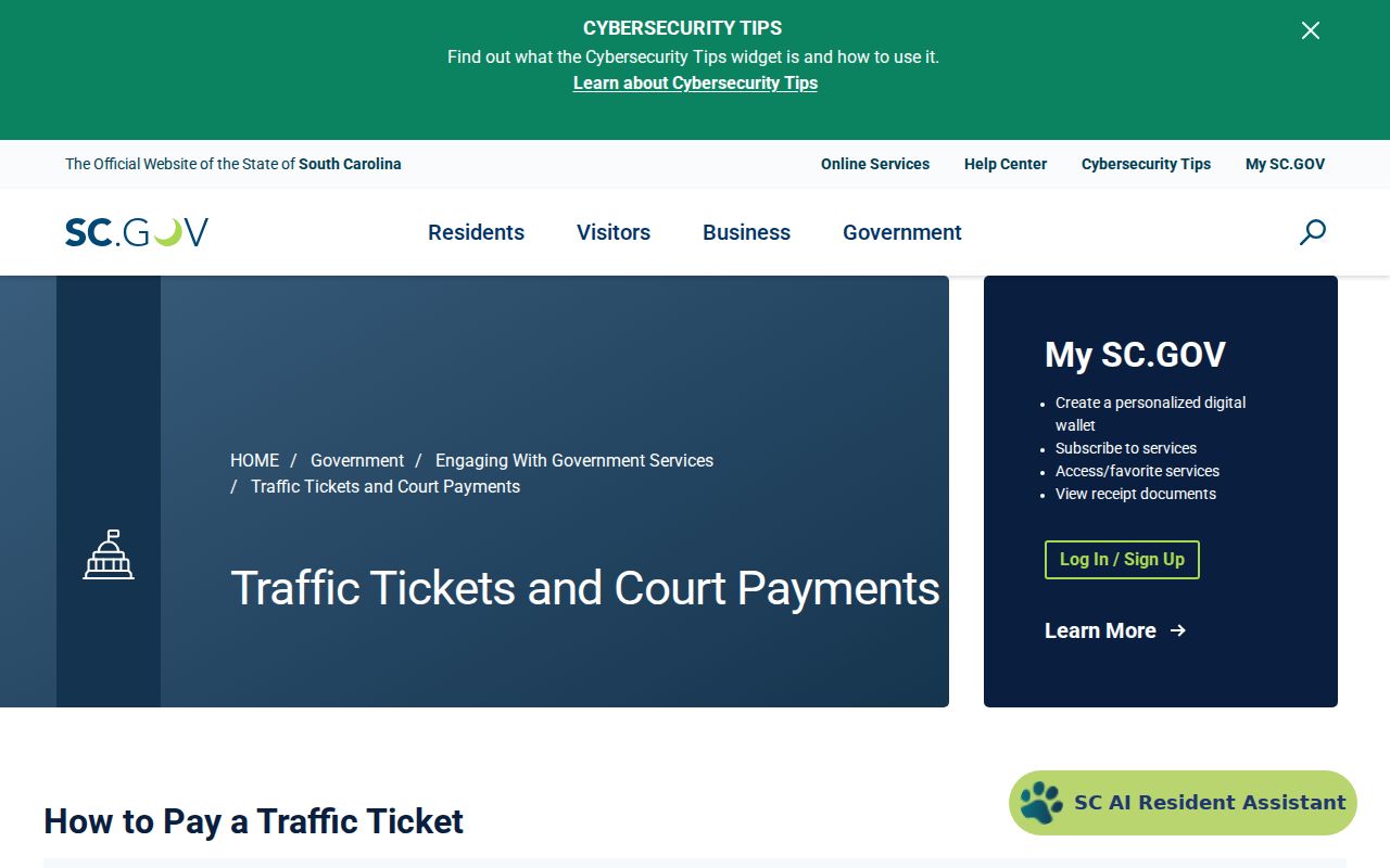 Fort Mill criminal and traffic court record payment lookup